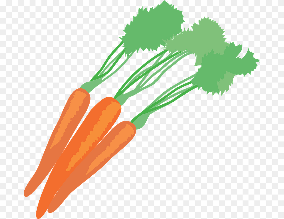 Carrot Vegetable Food Clipart Carrot, Plant, Produce, Smoke Pipe Png Image