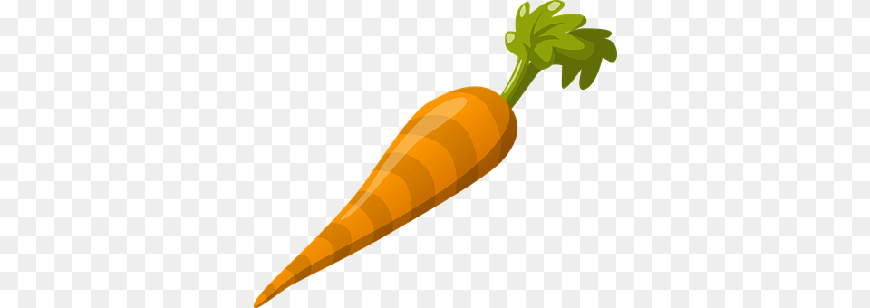 Carrot Vegetable Food Fresh Healthy Organi Carrot Clipart, Plant, Produce Png Image
