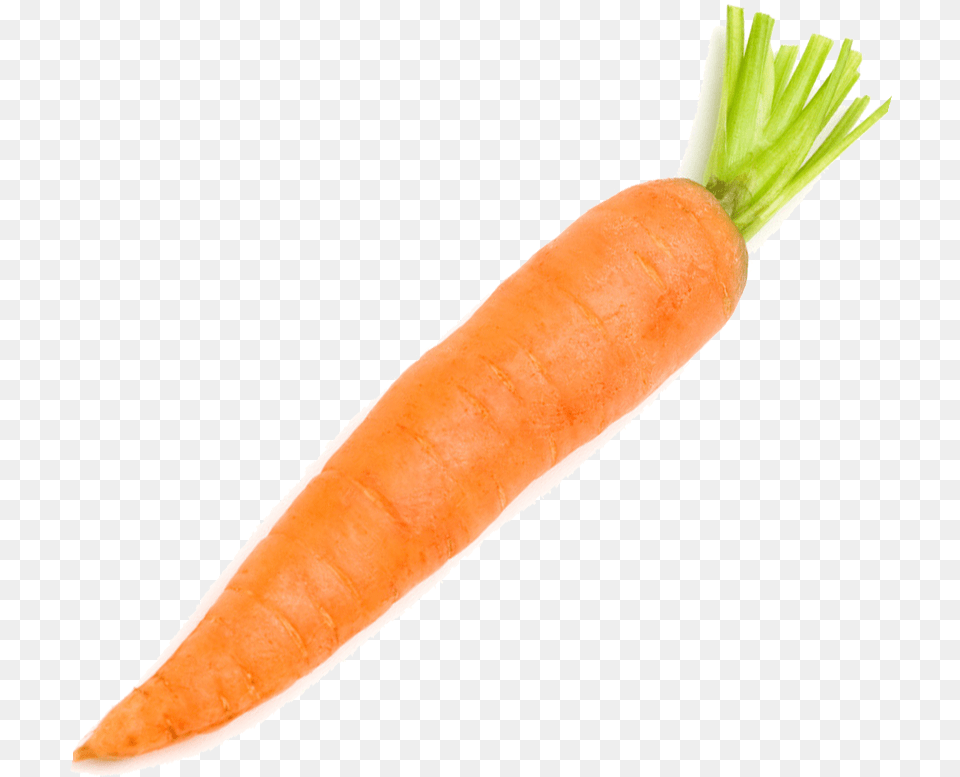 Carrot Vegetable Radish Carrot On A White Background, Food, Plant, Produce Png