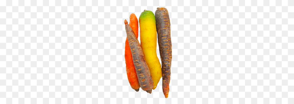 Carrots Carrot, Food, Plant, Produce Free Png