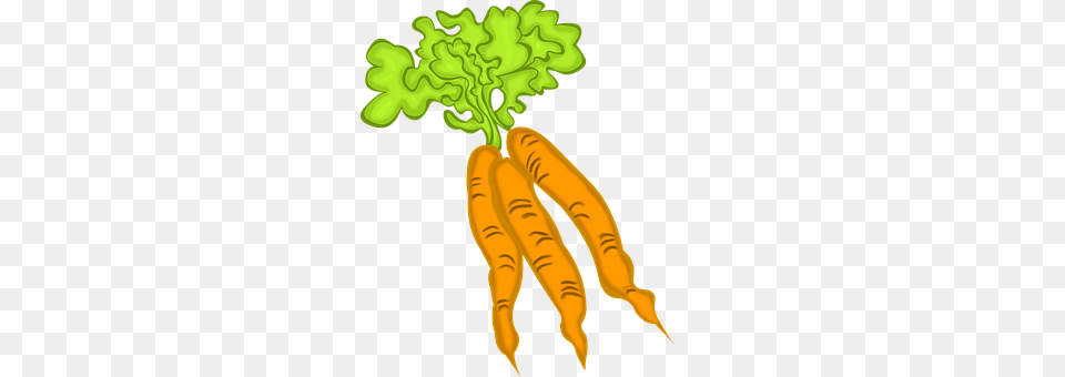 Carrots Carrot, Food, Plant, Produce Free Png Download