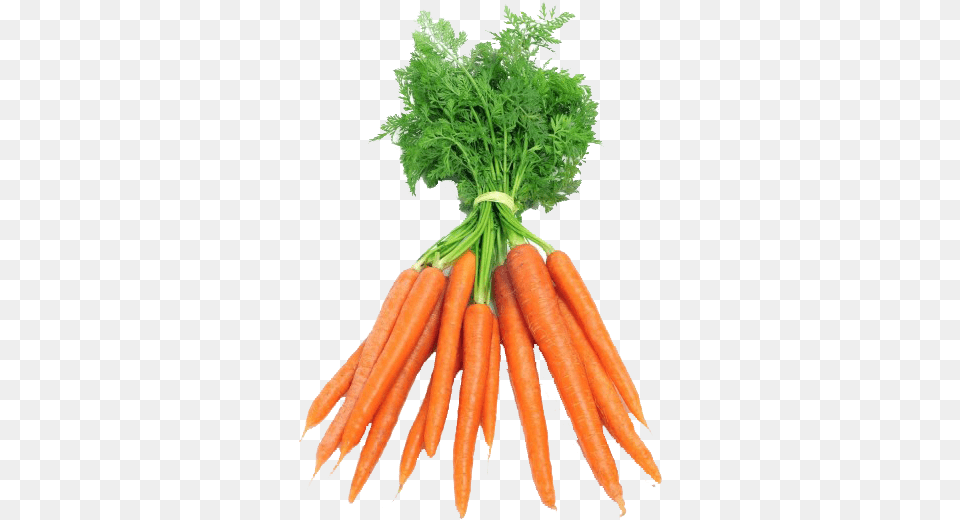 Carrots, Carrot, Food, Plant, Produce Free Png Download