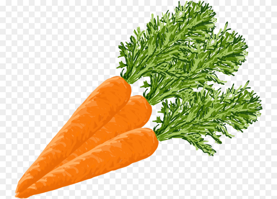 Carrots Baby Carrot, Food, Plant, Produce, Vegetable Free Png Download
