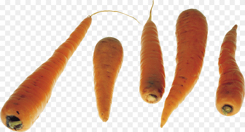 Carrots Carrot, Food, Plant, Produce, Vegetable Free Png