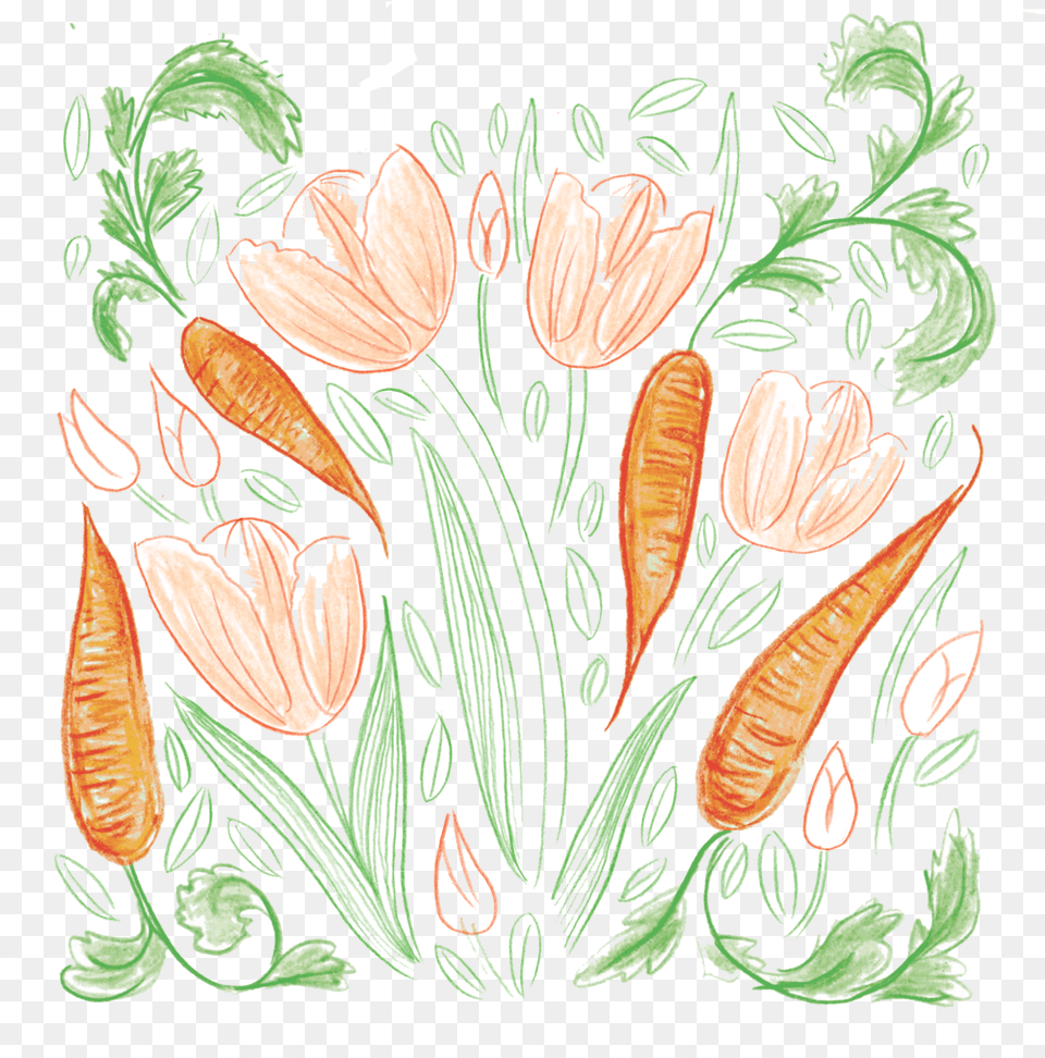 Carrots Carrot, Art, Plant, Pattern, Herbs Free Png Download