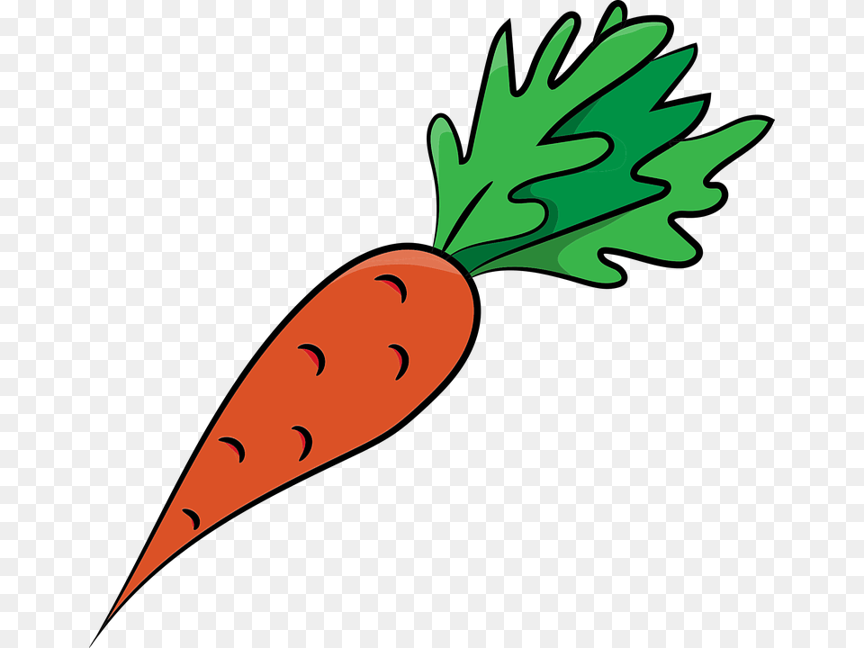 Carrots Carrot Vegetables Healthy Food Bio Fresh Sketsa Gambar Wortel, Plant, Produce, Vegetable, Blade Free Png Download