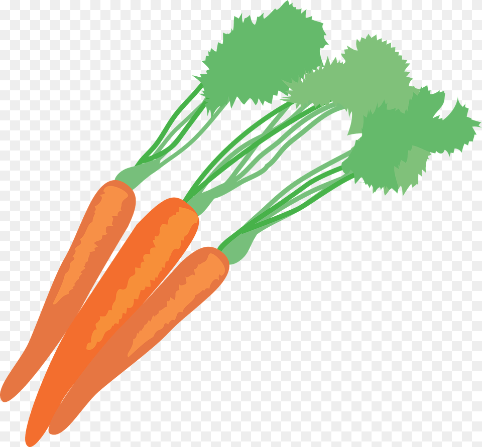 Carrots Clipart, Carrot, Food, Plant, Produce Png Image