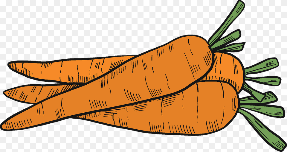 Carrots Clipart, Carrot, Food, Plant, Produce Png