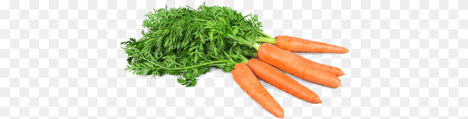 Carrots Diet, Carrot, Food, Plant, Produce Free Transparent Png