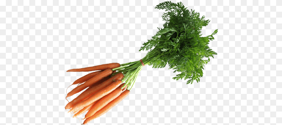 Carrots Health, Carrot, Food, Plant, Produce Free Png Download
