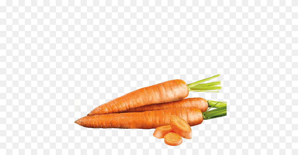 Carrots Icon Castor Pollux Natural Petworks, Carrot, Food, Plant, Produce Free Transparent Png