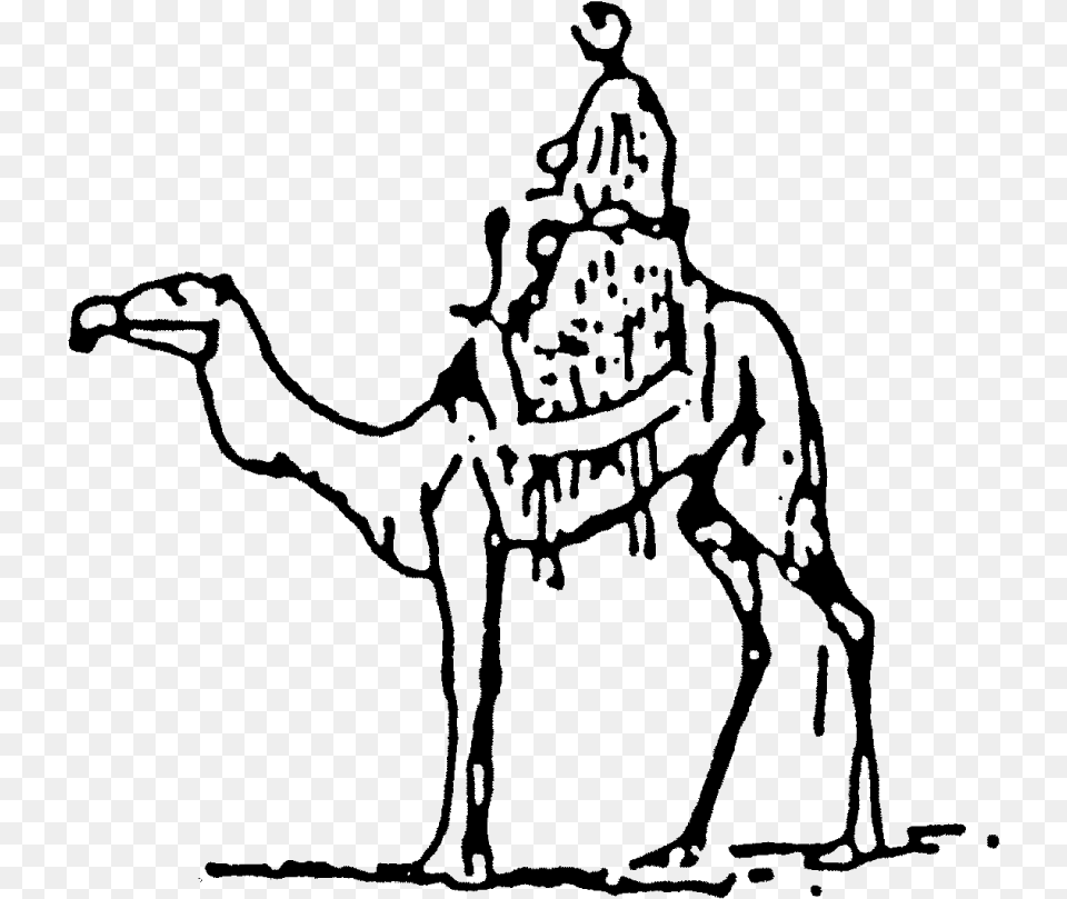 Cart Drawing Camel Camel With Rider Line Art, Gray Free Transparent Png