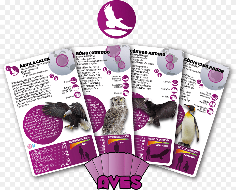 Cartas Aves Fw Flyer, Advertisement, Animal, Bird, Penguin Free Png Download