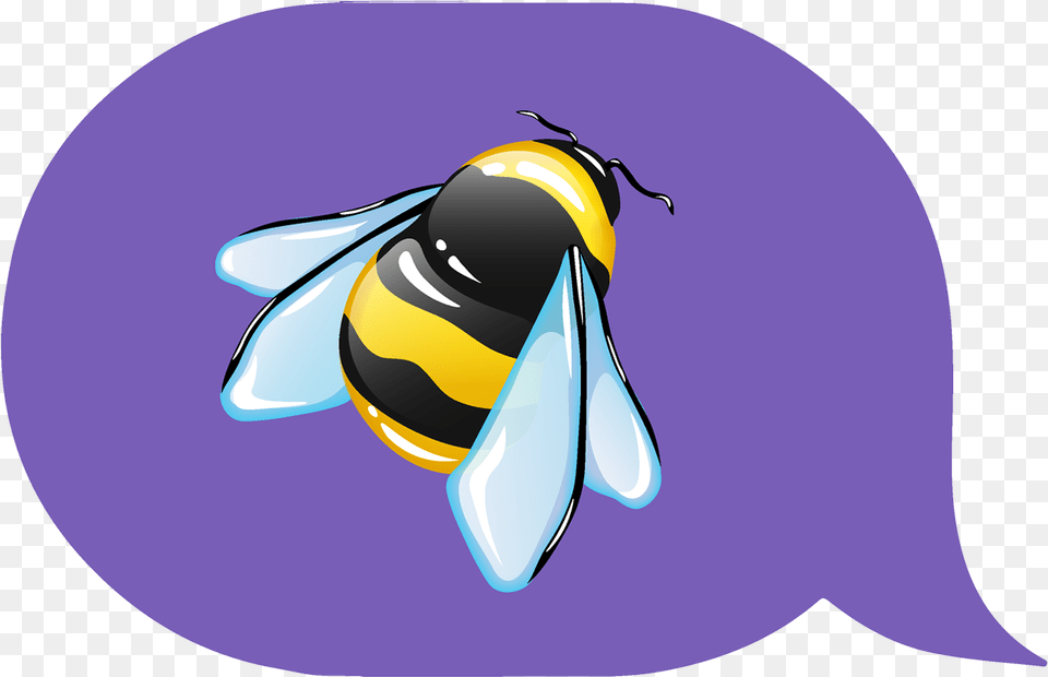 Cartoon, Animal, Bee, Wasp, Insect Png Image