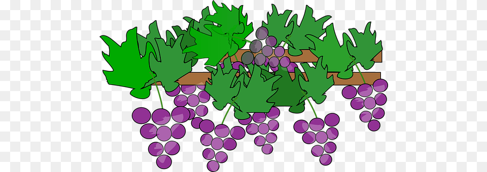 Cartoon Food, Fruit, Grapes, Plant Png Image