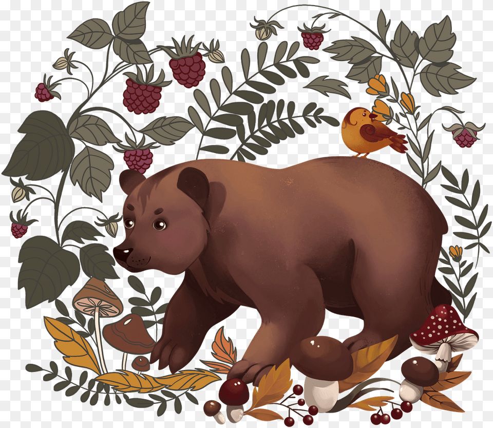 Cartoon, Animal, Bear, Mammal, Wildlife Free Png Download