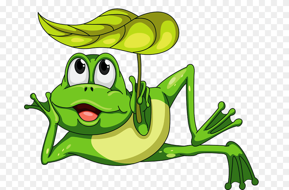 Cartoon, Amphibian, Green, Frog, Animal Free Transparent Png