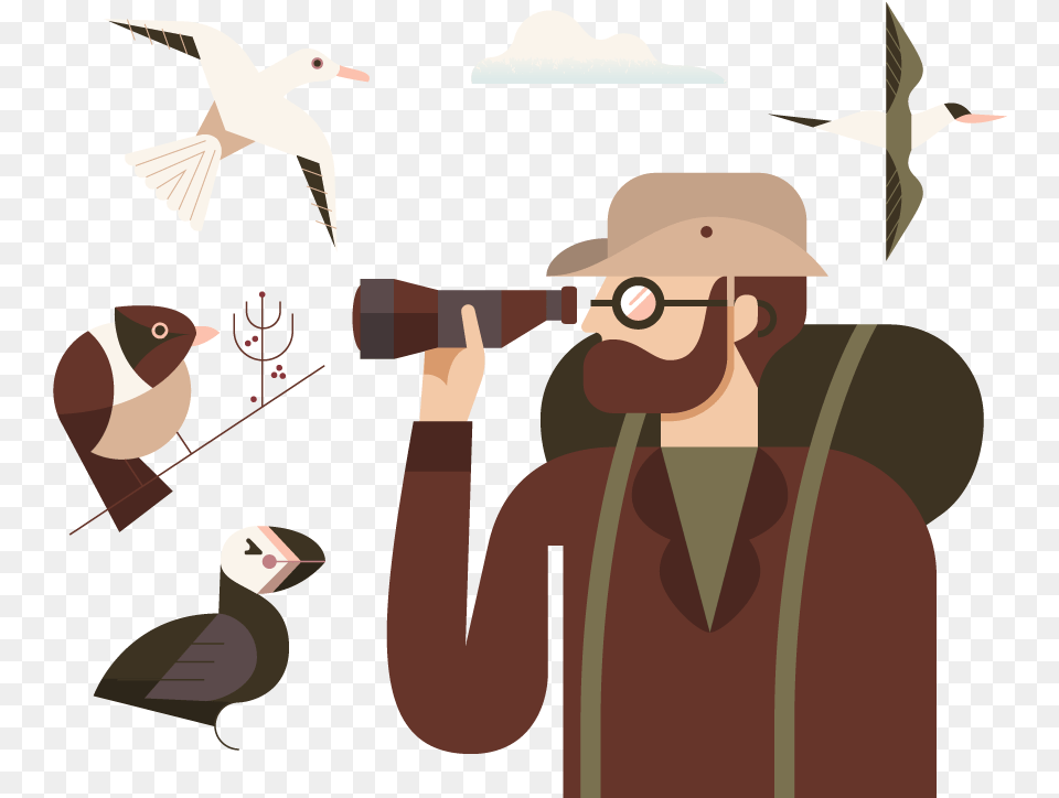 Cartoon, Photography, Person, Animal, Bird Png