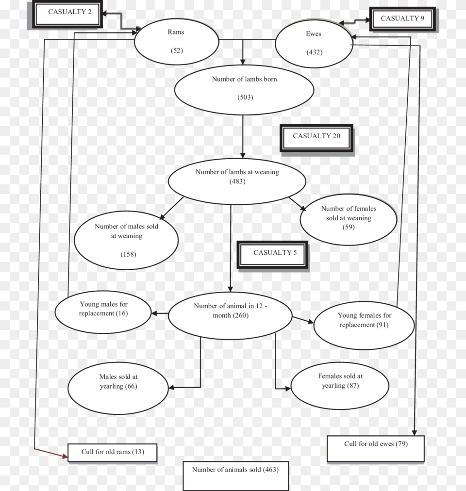 Cartoon, Diagram, Uml Diagram Free Png Download