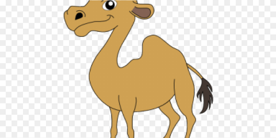 Cartoon, Animal, Camel, Mammal, Adult Free Transparent Png