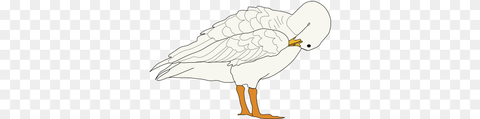 Cartoon, Animal, Bird, Goose, Waterfowl Free Transparent Png