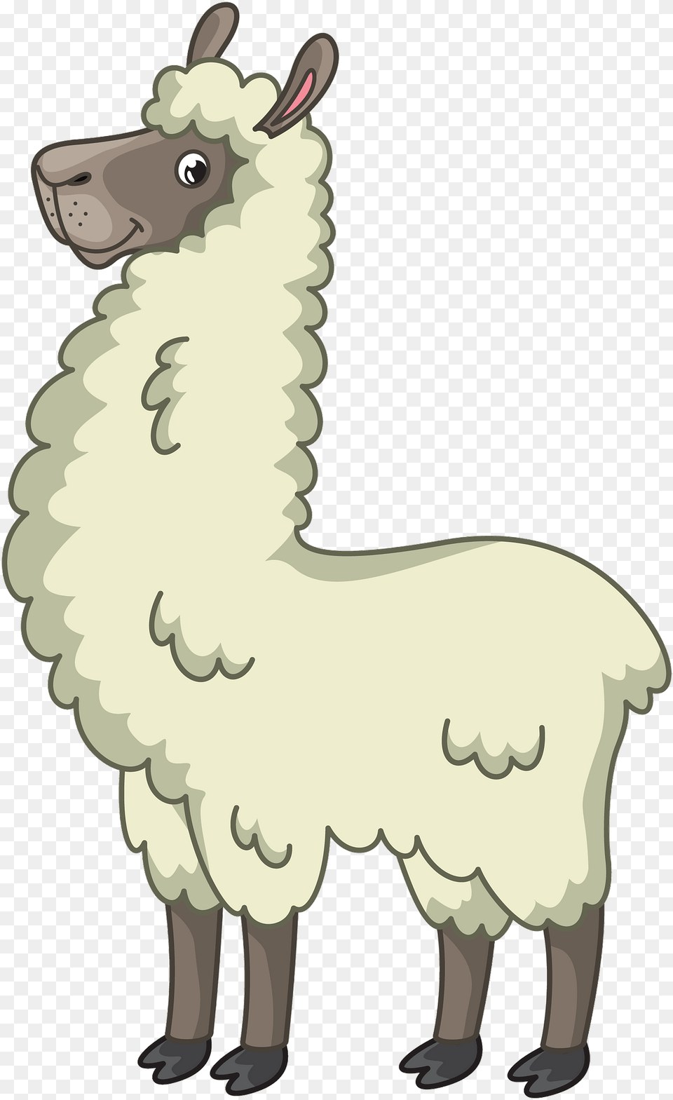 Cartoon, Animal, Mammal, Llama, Person Free Png Download