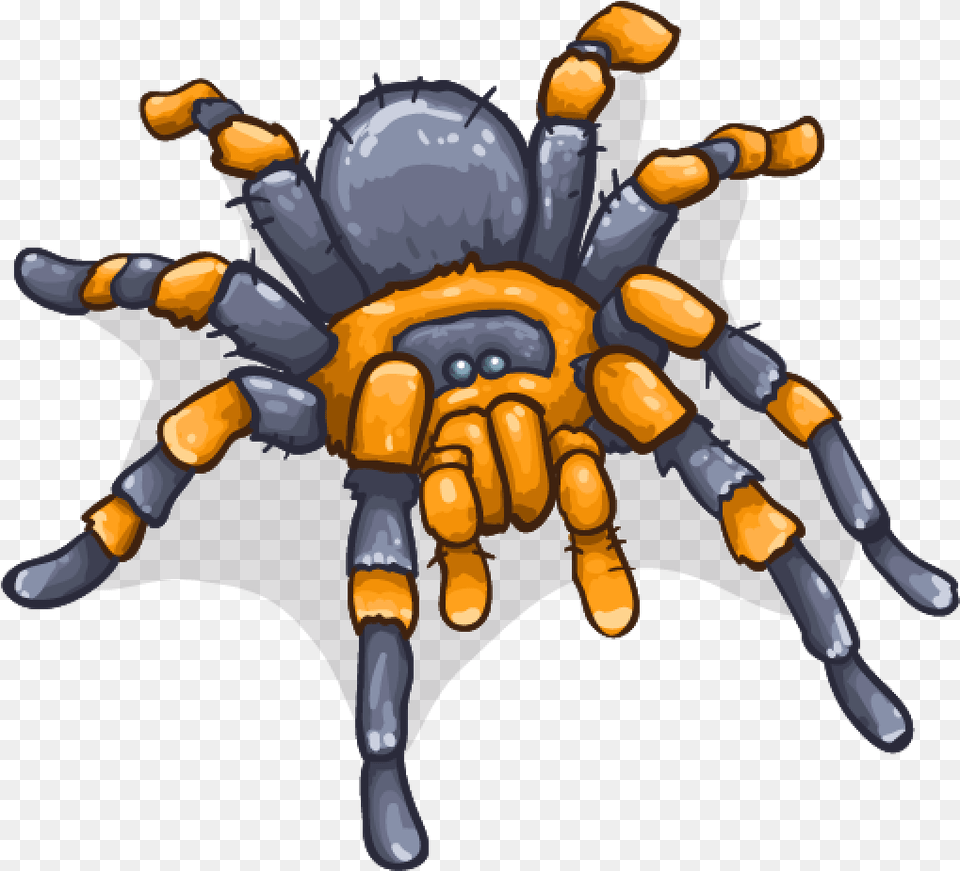 Cartoon, Animal, Invertebrate, Spider, Baby Png Image