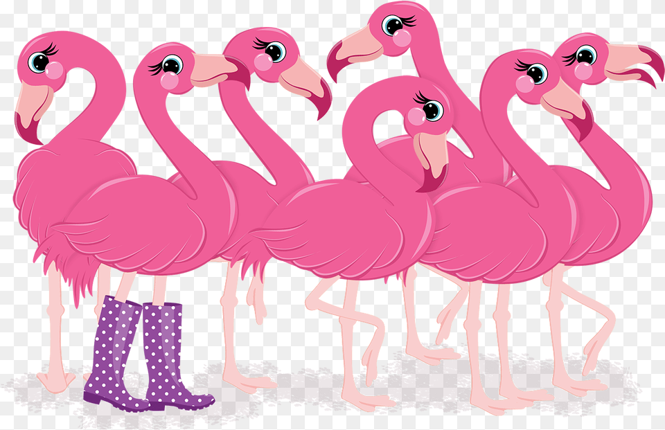 Cartoon, Animal, Bird, Flamingo, Clothing Png