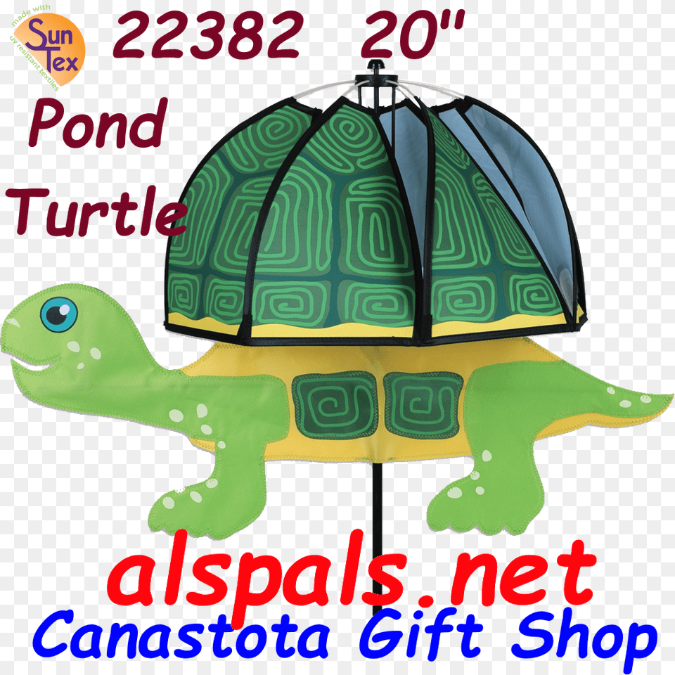 Cartoon, Animal, Reptile, Sea Life, Turtle Free Transparent Png