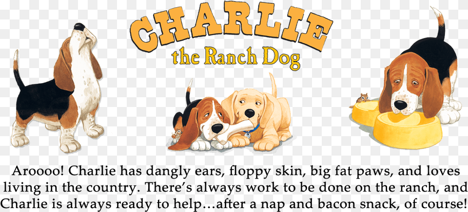Cartoon, Animal, Beagle, Canine, Dog Png