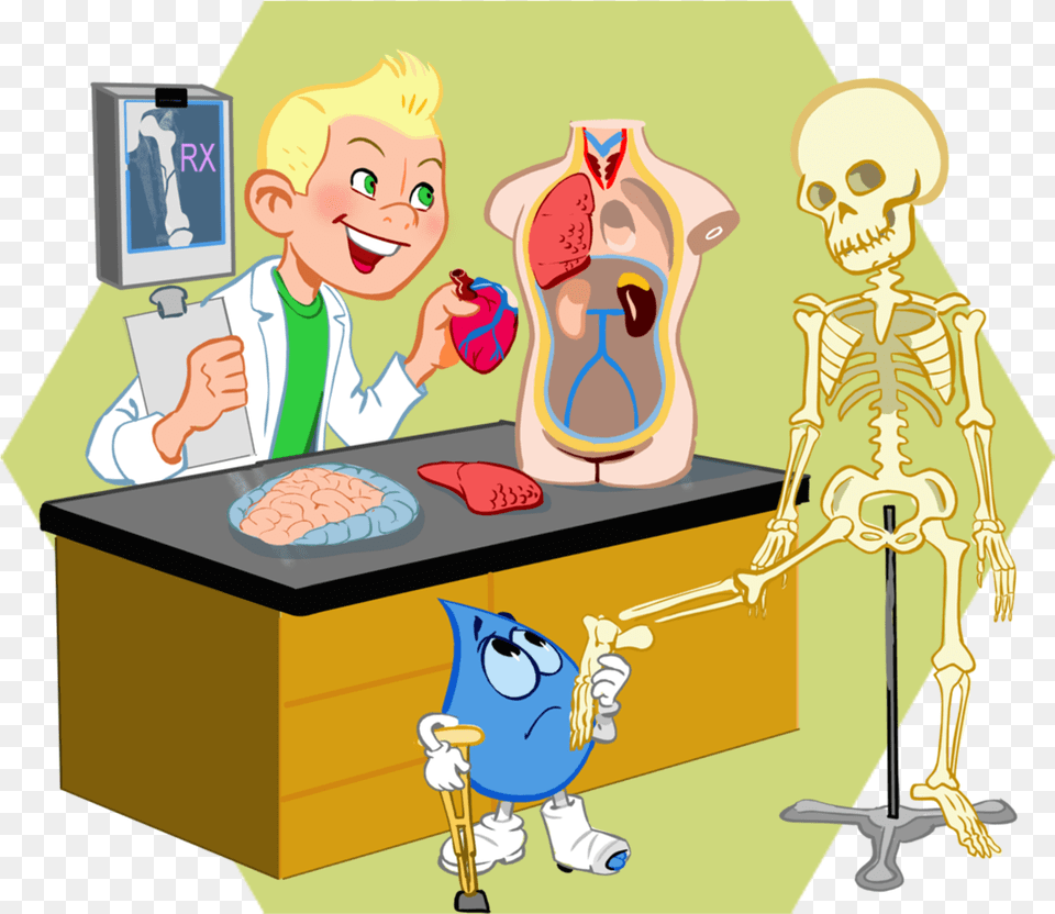 Cartoon, Person, Baby, Face, Head Free Transparent Png