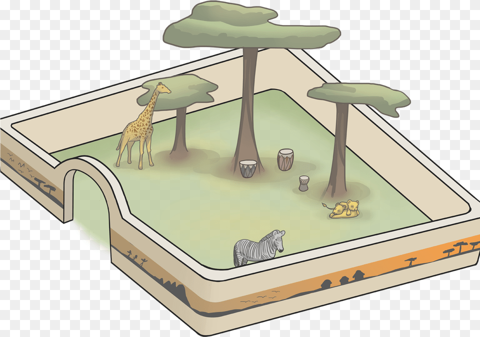 Cartoon, Animal, Zoo, Mammal, Wildlife Png