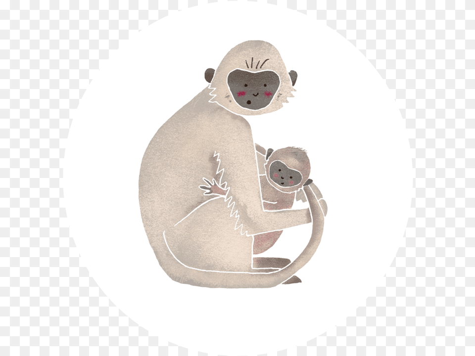 Cartoon, Animal, Bear, Mammal, Wildlife Free Transparent Png