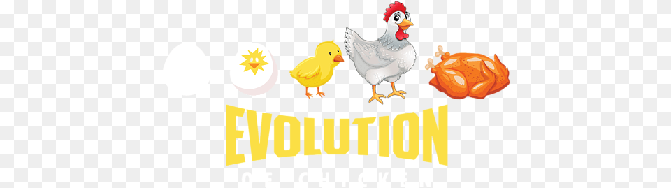 Cartoon, Animal, Bird, Chicken, Fowl Png Image