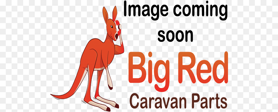 Cartoon, Animal, Mammal, Kangaroo Free Transparent Png