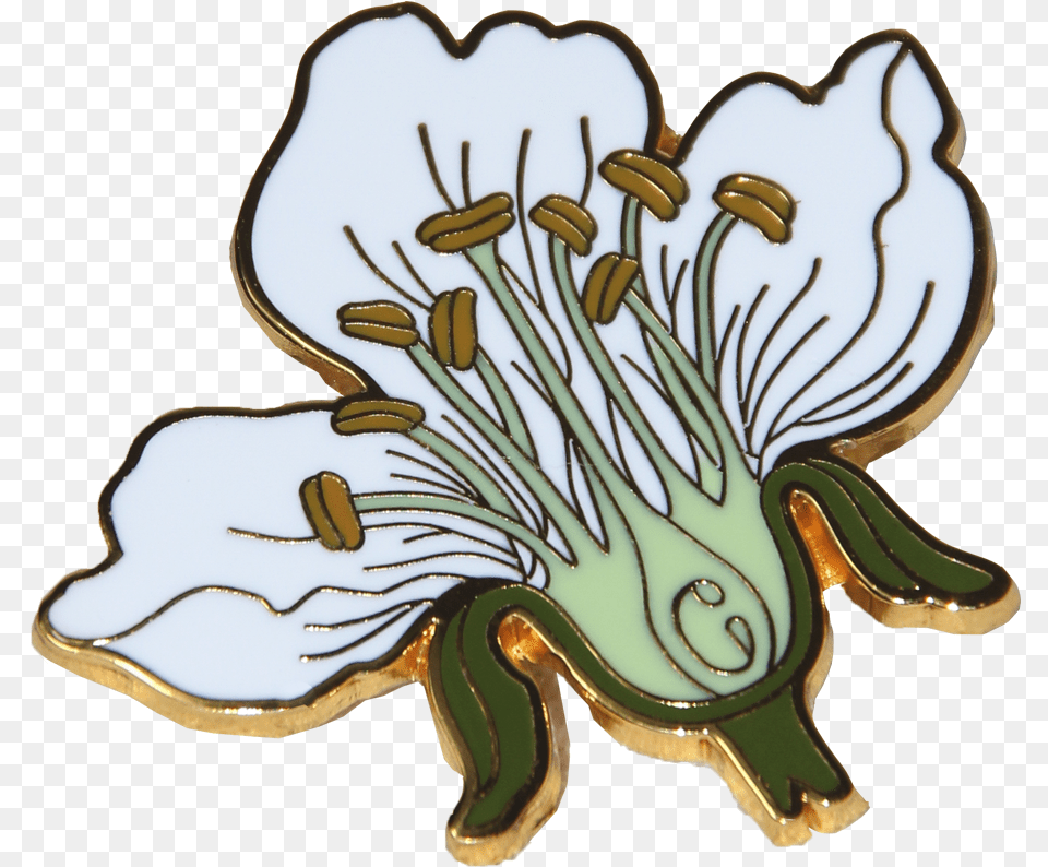 Cartoon, Anther, Flower, Plant, Pollen Free Png