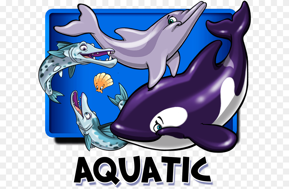 Cartoon, Animal, Sea Life, Fish, Shark Png Image
