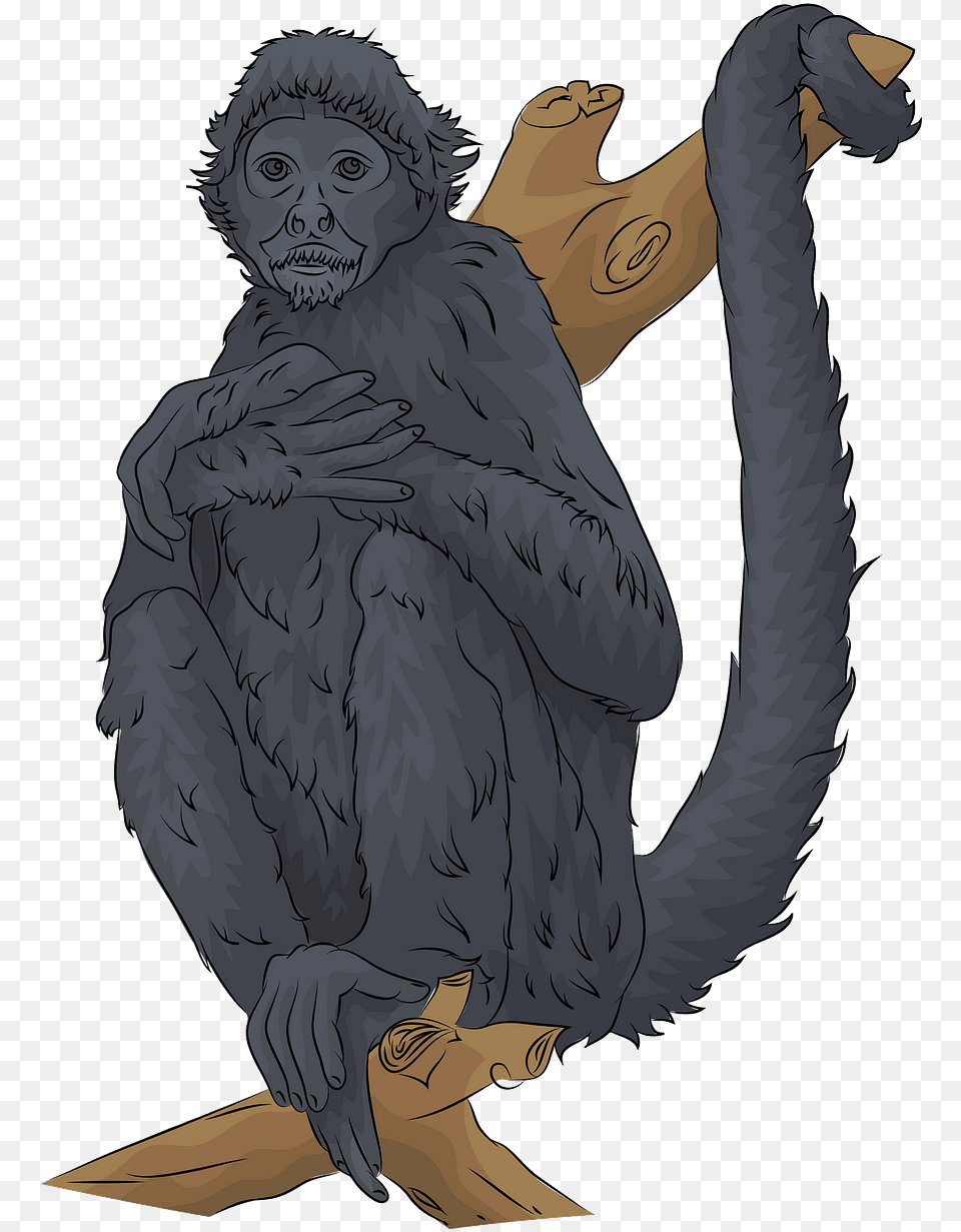 Cartoon, Wildlife, Animal, Ape, Mammal Png Image