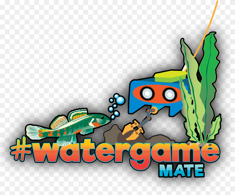 Cartoon, Animal, Fish, Sea Life Png