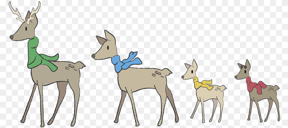 Cartoon, Animal, Deer, Mammal, Wildlife Png Image