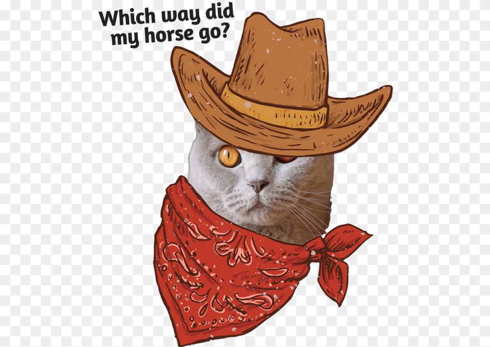 Cartoon, Accessories, Hat, Clothing, Cat Free Png