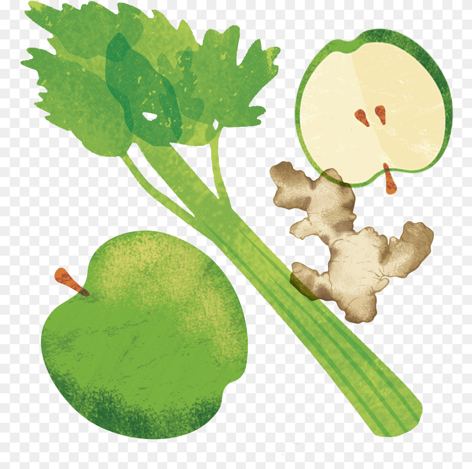 Cartoon, Herbs, Plant, Leaf, Food Png Image