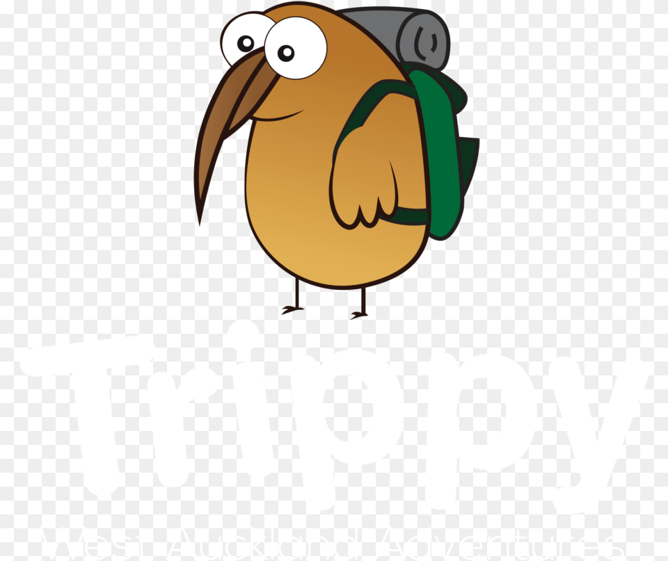 Cartoon, Animal, Bird, Kiwi Bird Png