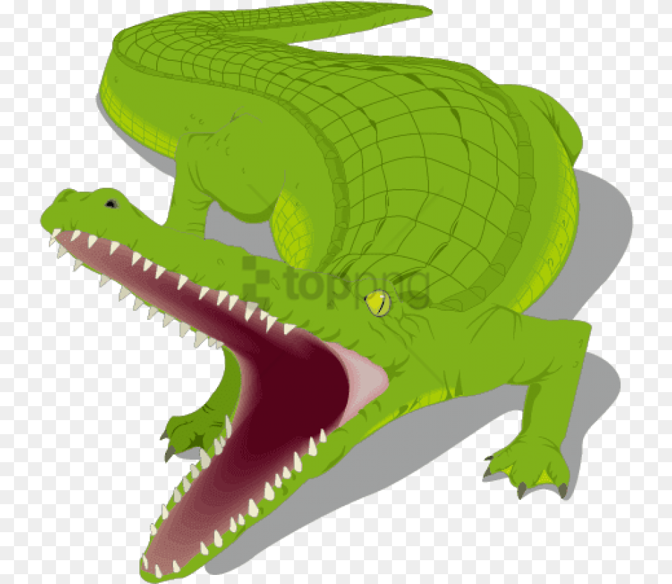 Cartoon Alligator Alligator Clip Art, Animal, Crocodile, Reptile, Fish Free Png