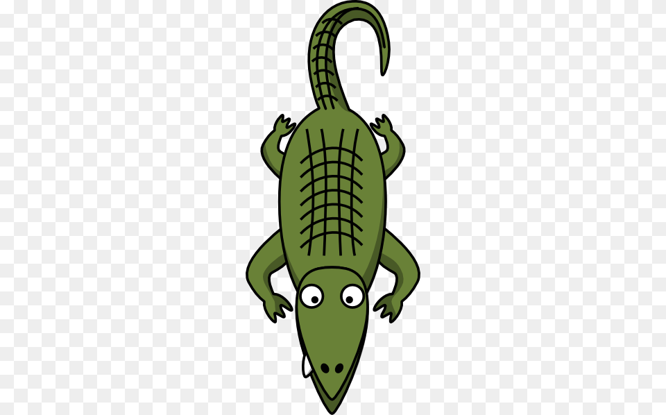 Cartoon Alligator Clipart Crocodile Pic Inside, Animal, Baby, Person, Reptile Png Image