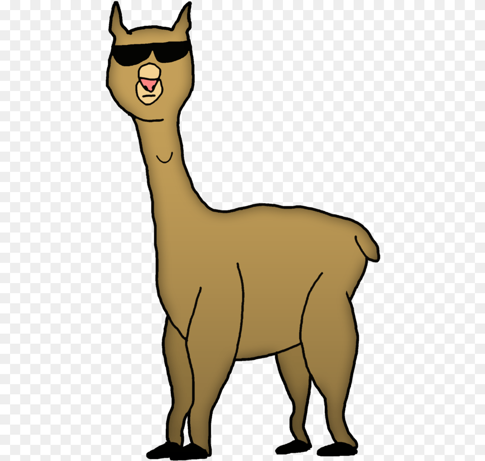 Cartoon Alpacas, Woman, Adult, Person, Female Free Transparent Png