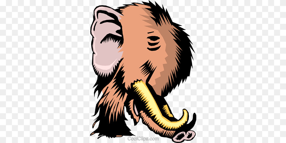 Cartoon Alphabet, Person, Animal, Lion, Mammal Free Png Download