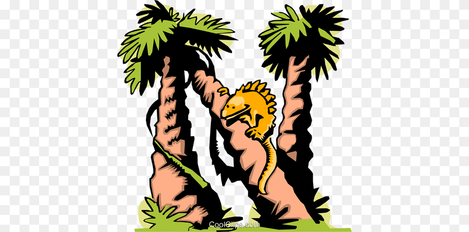 Cartoon Alphabet, Palm Tree, Plant, Tree, Person Free Png