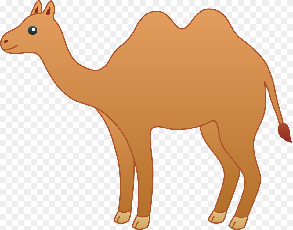 Cartoon Animals Clipart Simple Clip Art Stock Animal, Camel, Mammal, Wildlife, Zebra Free Transparent Png