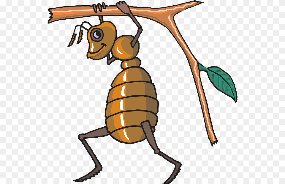 Cartoon Ant Insect Walking Working Carrying Twig Vector Bee, Animal, Person Png